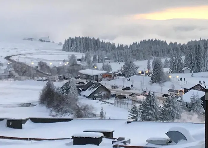 Spacieux Pour 6 Avec Terrasse Et Parking Privé - Fr-1-814-152 Super-Besse